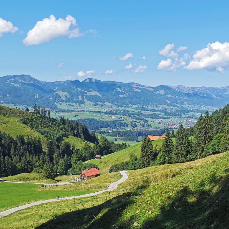 Sommer im Allgäu