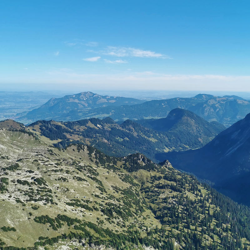 Webcams mit Allgäuer Ausblicken