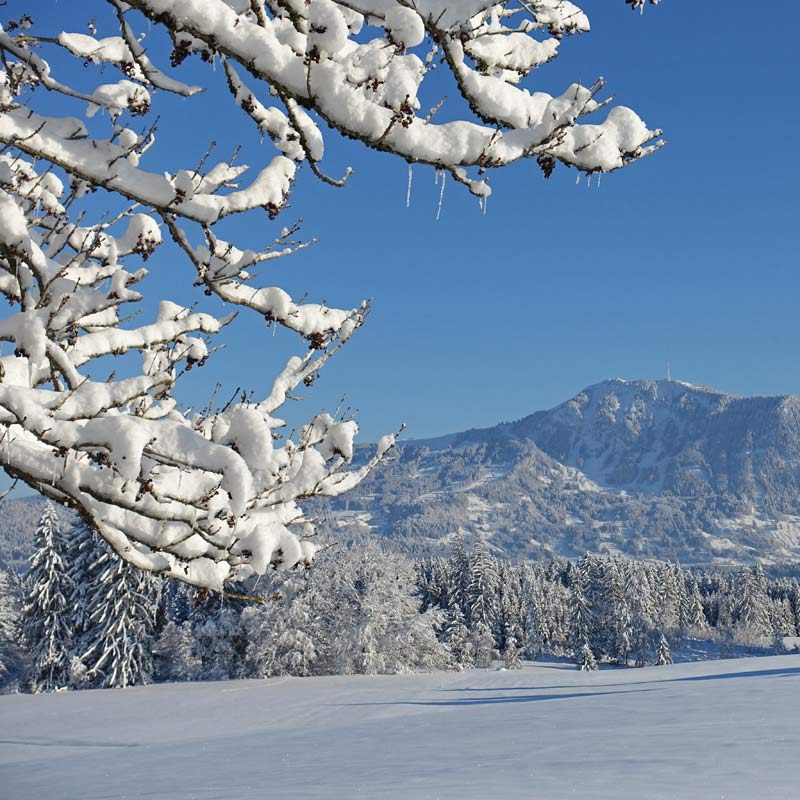 Winter im Allgäu