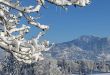 Allgäuer Winter